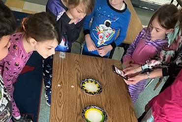 Ms. Coppola's Second-Grade Students Participate in a STEAM Project. - image003