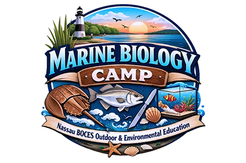 Marine Biology Camp