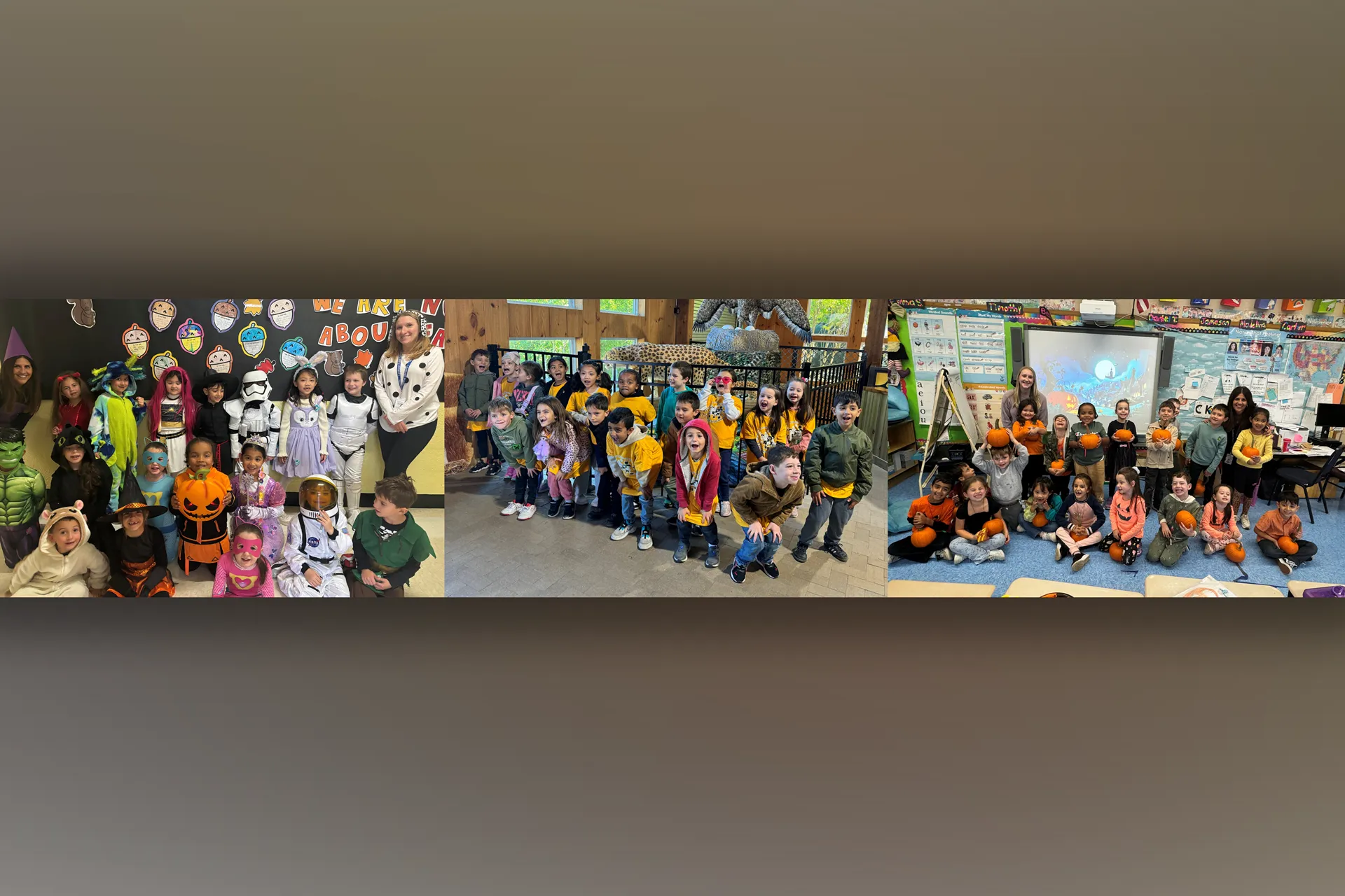 October has been an exciting month for Mrs. Donnelly and Ms. Maney's class.