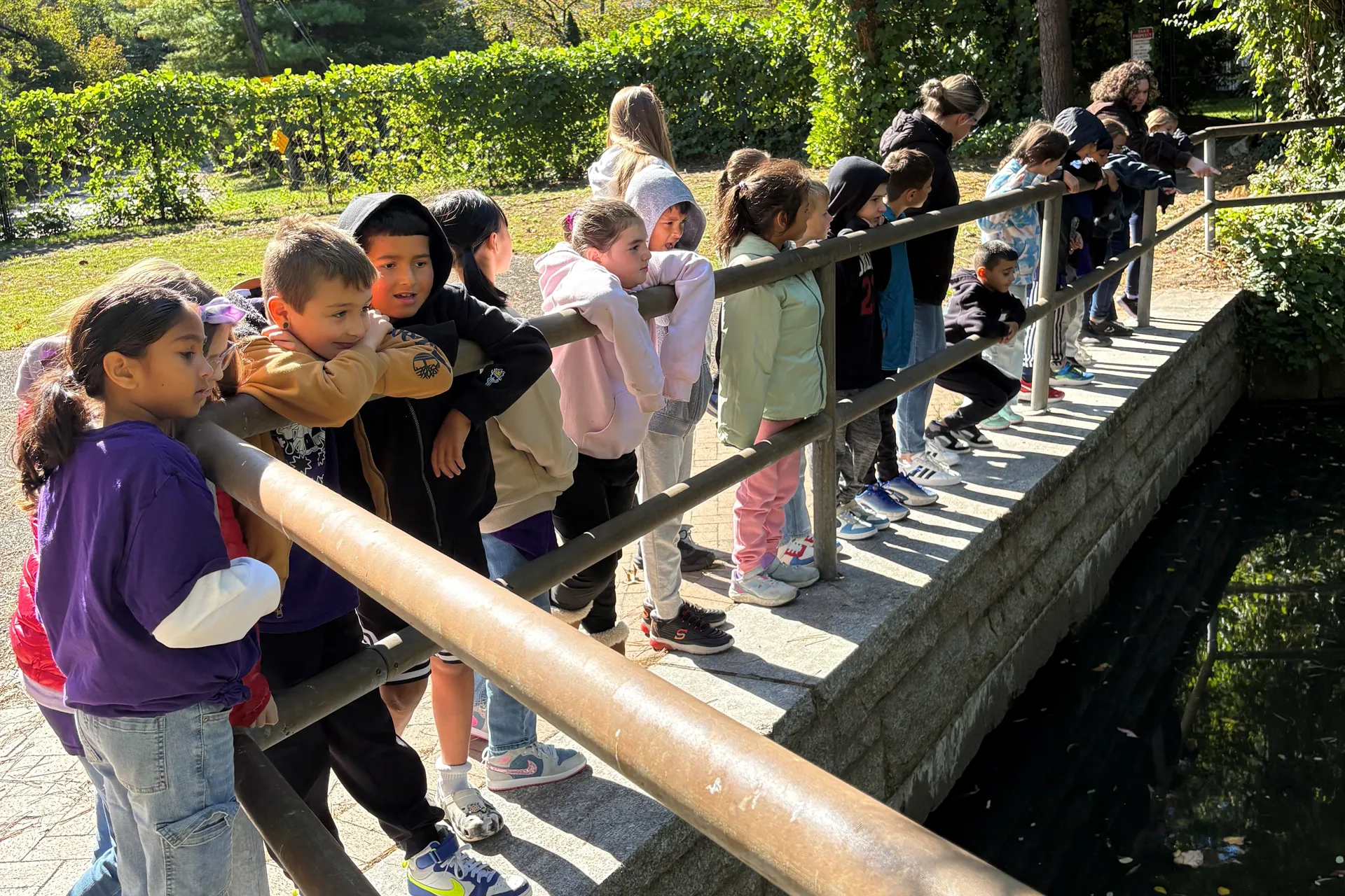 Mr. Bencivenga and Ms. Madigan's 3rd Graders Experience Science and Nature - image002