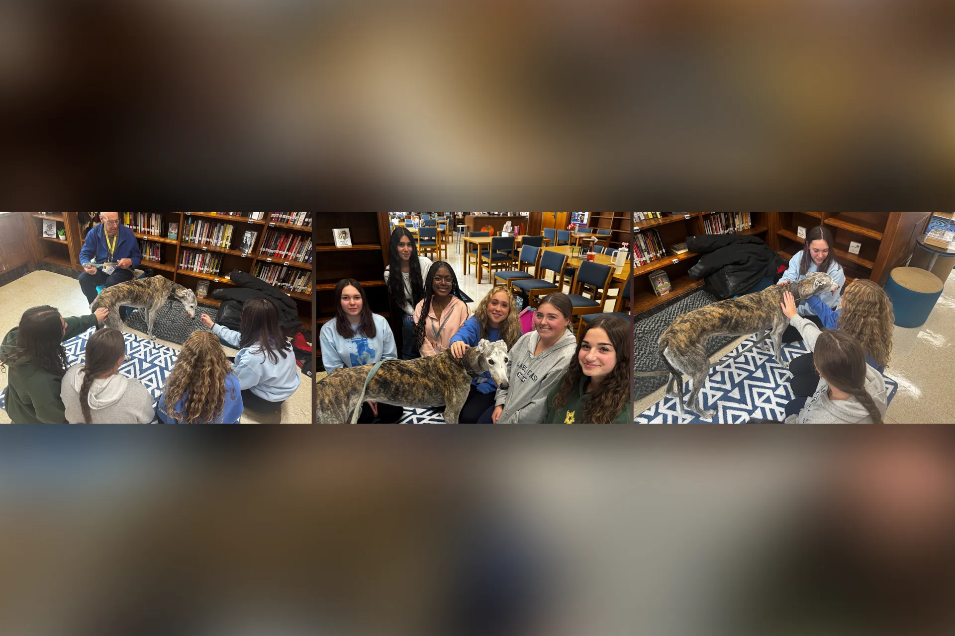 Division Avenue High School was thrilled to welcome comfort dog Argus to campus. We're thankful to our partners at Therapy Dogs of Long Island for making the visit possible.