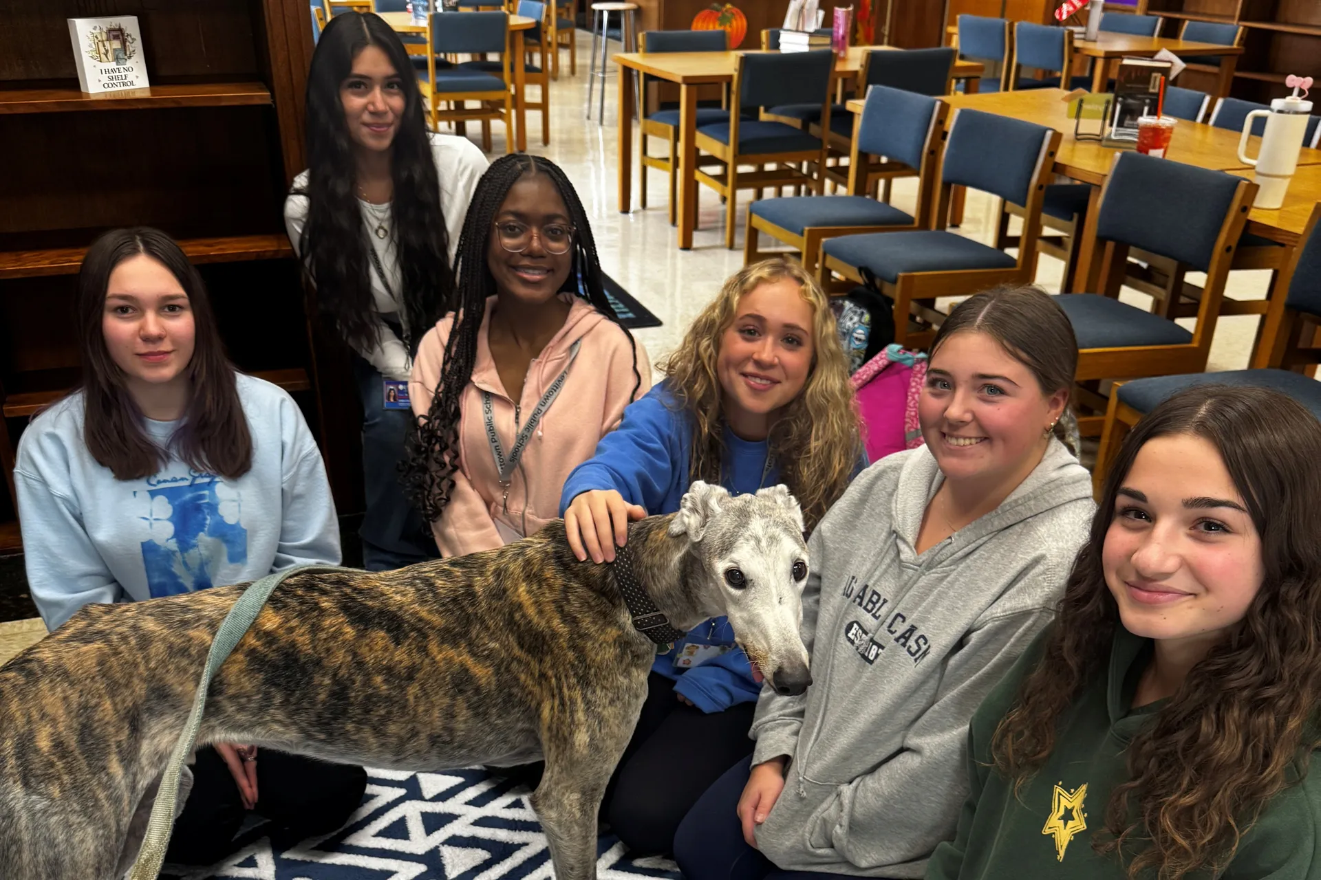 Division Ave. Welcomes Argus The Comfort Dog - image003 Division Ave. Welcomes Argus The Comfort Dog - image003