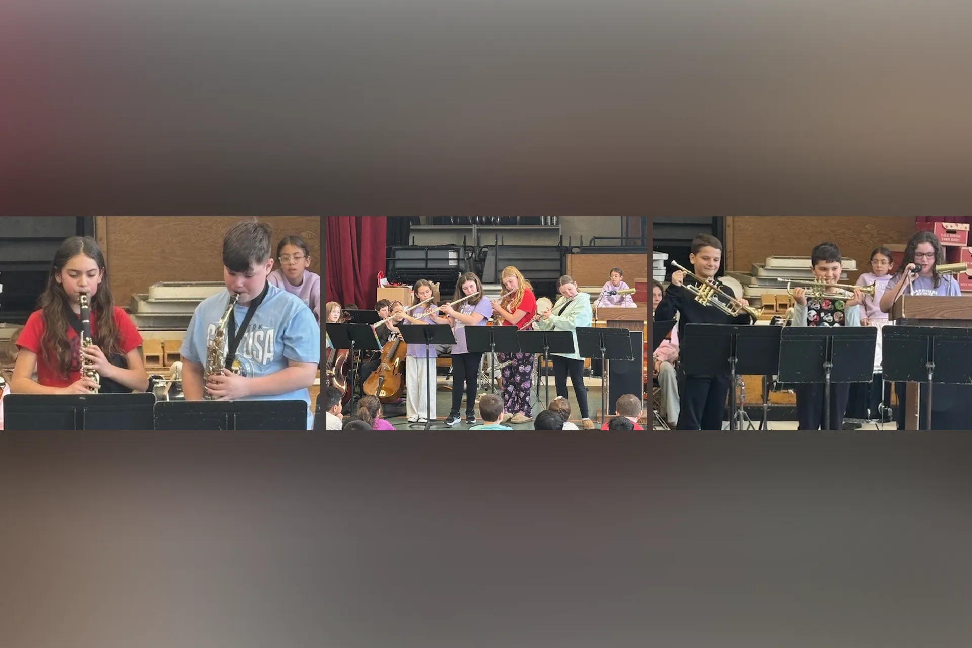 On Monday, March 2, Gardiners Avenue Band and Orchestra students presented during an assembly for our 2nd grade classes to introduce the instruments they play.