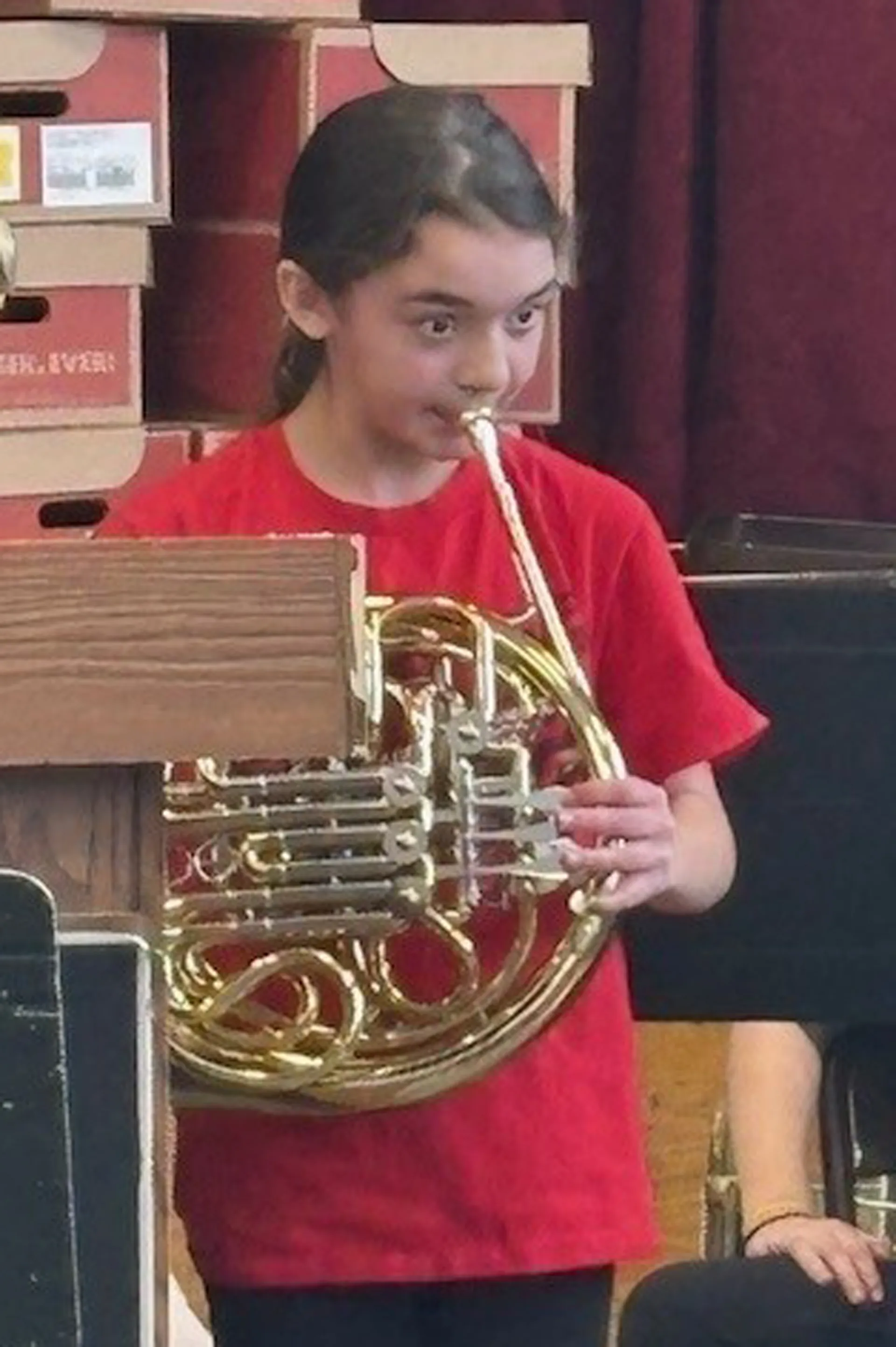 Mr. Nobile's Band and Orchestra Students Demonstrate Their Instruments to the Second Graders - image005