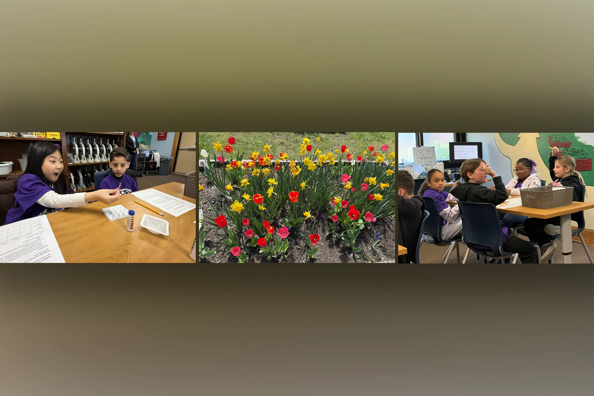 Outdoor Learning Center with Mrs. Suriano's Third Graders